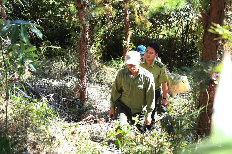 Công tác tuần tra tại lâm phần quản lý của Vườn Quốc gia Tà Đùng được thực hiện nghiêm Công tác tuần tra tại lâm phần quản lý của Vườn Quốc gia Tà Đùng được thực hiện nghiêm