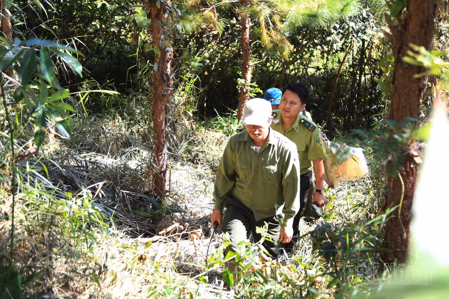 Công tác tuần tra tại lâm phần quản lý của Vườn Quốc gia Tà Đùng được thực hiện nghiêm