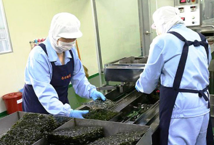 Lao động Gia Lai đang làm việc tại một Nhà máy ở Nhật Bản. Ảnh: Như Dương Lao động Gia Lai đang làm việc tại một Nhà máy ở Nhật Bản. Ảnh: Như Dương