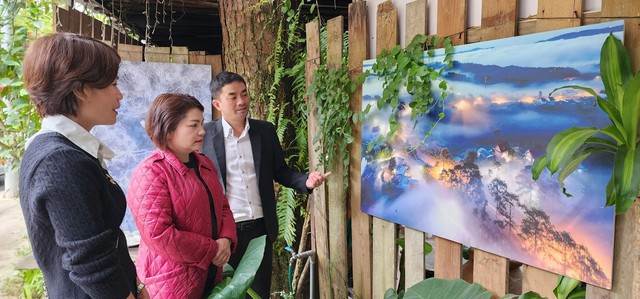 Triển khai cung đường nghệ thuật chào mừng 130 năm Đà Lạt - Ảnh 3. Khu vực triển lãm ảnh Đà Lạt trên cung đường nghệ thuật Lý Tự Trọng. Ảnh: LÂM VIÊN