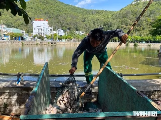 Lực lượng chức năng dọn dẹp vệ sinh hồ Bàu Sen