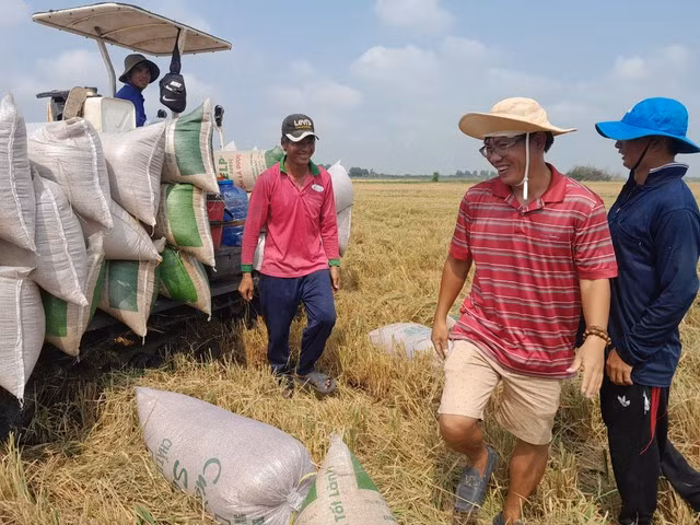 Mùa gặt của Tổ hợp tác Quyết Tiến