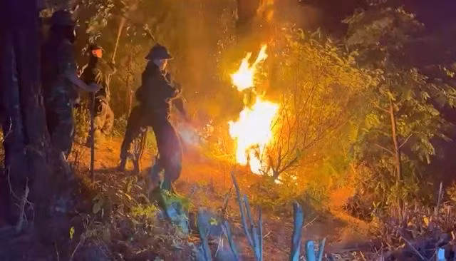 Các lực lượng chức năng nỗ lực dập lửa