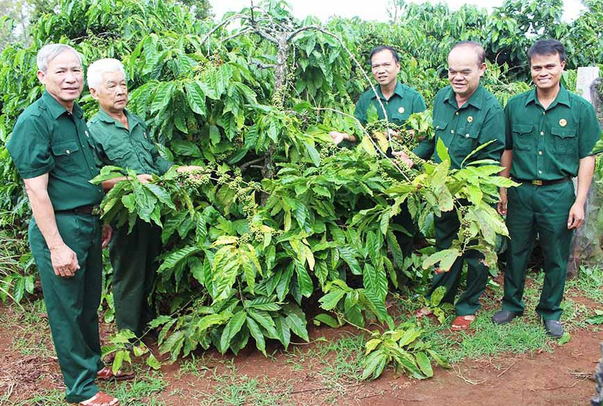 Cán bộ, hội viên Hội Cựu chiến binh huyện Đak Đoa tham quan mô hình phát triển kinh tế của hội viên. Ảnh: P.D Cán bộ, hội viên Hội Cựu chiến binh huyện Đak Đoa tham quan mô hình phát triển kinh tế của hội viên. Ảnh: P.D