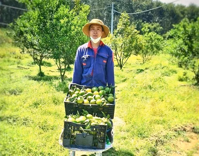 Kiên trì với quyết định, Phó Bí thư đoàn xã kiếm tiền tỷ mỗi năm