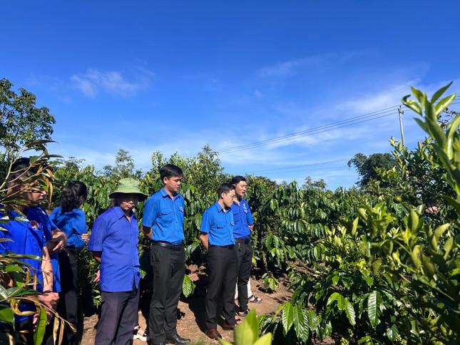Đoàn viên thanh niên tham quan một mô hình khởi nghiệp của thanh niên trên địa bàn