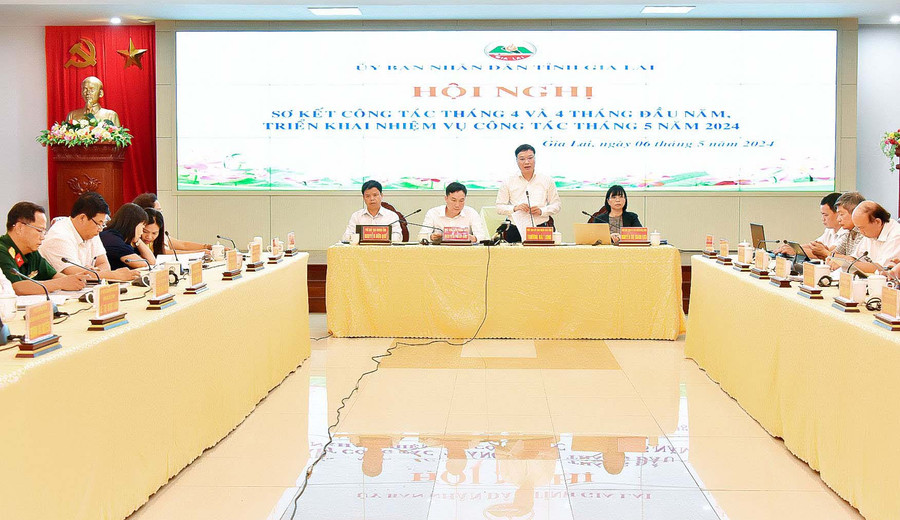 Phó Bí thư Tỉnh ủy, Chủ tịch UBND tỉnh Trương Hải Long phát biểu chỉ đạo tại hội nghị. Ảnh: Đức Thụy