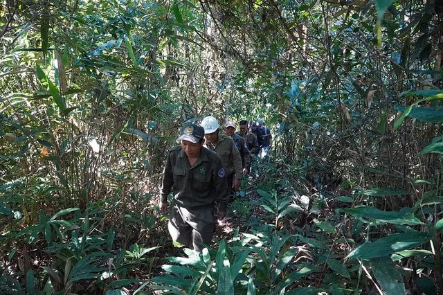 Nhân viên Công ty TNHH MTV lâm nghiệp Đăk Tô tuần tra, bảo vệ rừng