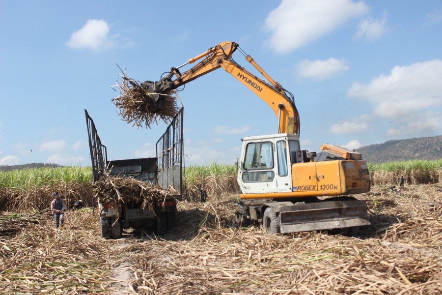 Cơ giới hóa trong thu hoạch mía tại huyện Phú Thiện. Ảnh: Nguyễn Diệp Cơ giới hóa trong thu hoạch mía tại huyện Phú Thiện. Ảnh: Nguyễn Diệp