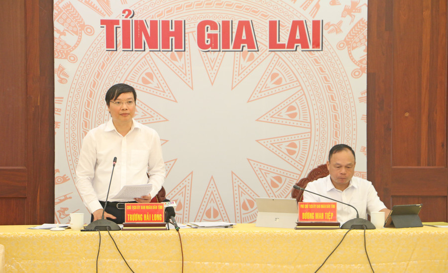 Phó Bí thư Tỉnh ủy, Chủ tịch UBND tỉnh Gia Lai Trương Hải Long phát biểu chỉ đạo hội nghị. Ảnh: Quang Tấn Phó Bí thư Tỉnh ủy, Chủ tịch UBND tỉnh Gia Lai Trương Hải Long phát biểu chỉ đạo hội nghị. Ảnh: Quang Tấn