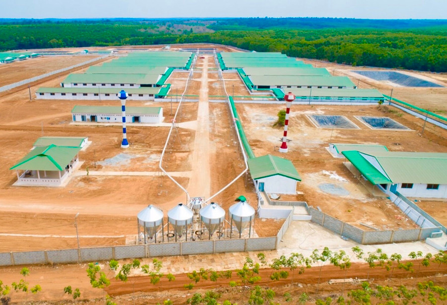 Dự án trang trại chăn nuôi heo thịt Ricky Farm 79 (xã Ia Sol, huyện Phú Thiện). Ảnh: Hà Duy