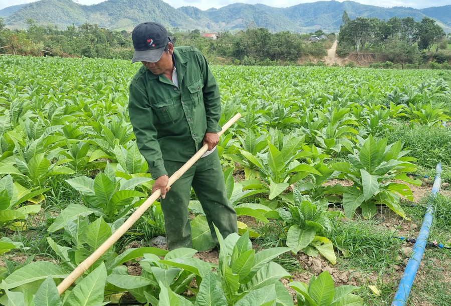 Việc xây dựng thương hiệu. Ảnh: Hà Phương