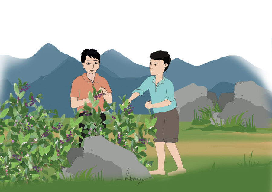 Minh họa: Huyền Trang