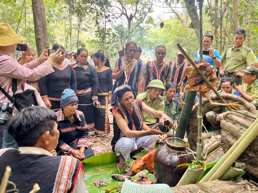 Già làng Siu Dơih thực hiện nghi thức cúng rừng. Ảnh: Lam Nguyên Già làng Siu Dơih thực hiện nghi thức cúng rừng. Ảnh: Lam Nguyên