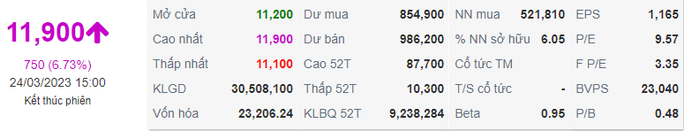 Cuối phiên 24-3, cổ phiếu NVL tăng trần lên 11.900 đồng/cổ phiếu