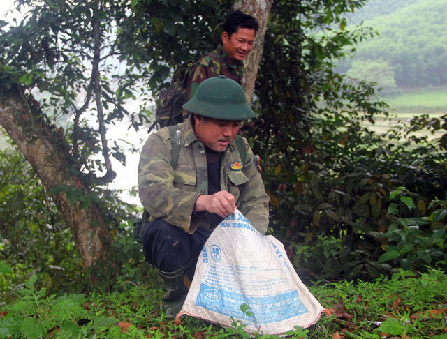 Mang muối vào rừng cho voi Mang muối vào rừng cho voi