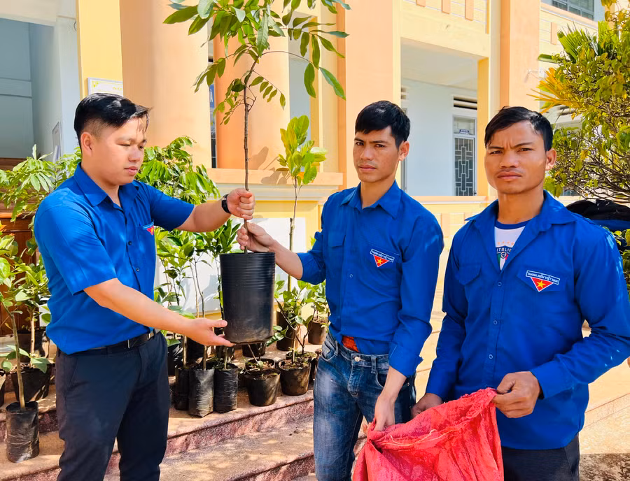Dù đang hưởng lương cán bộ bán chuyên trách nhưng anh Đỗ Văn Tuấn (bìa trái)-Phó Bí thư Đoàn xã Nghĩa Hưng (huyện Chư Păh) vẫn nỗ lực để hoàn thành tốt mọi nhiệm vụ được giao. Ảnh: Phan Lài