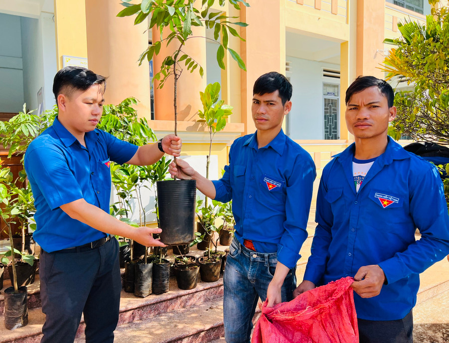 Dù đang hưởng lương cán bộ bán chuyên trách nhưng anh Đỗ Văn Tuấn (bìa trái)-Phó Bí thư Đoàn xã Nghĩa Hưng (huyện Chư Păh) vẫn nỗ lực để hoàn thành tốt mọi nhiệm vụ được giao. Ảnh: Phan Lài Dù đang hưởng lương cán bộ bán chuyên trách nhưng anh Đỗ Văn Tuấn (bìa trái)-Phó Bí thư Đoàn xã Nghĩa Hưng (huyện Chư Păh) vẫn nỗ lực để hoàn thành tốt mọi nhiệm vụ được giao. Ảnh: Phan Lài