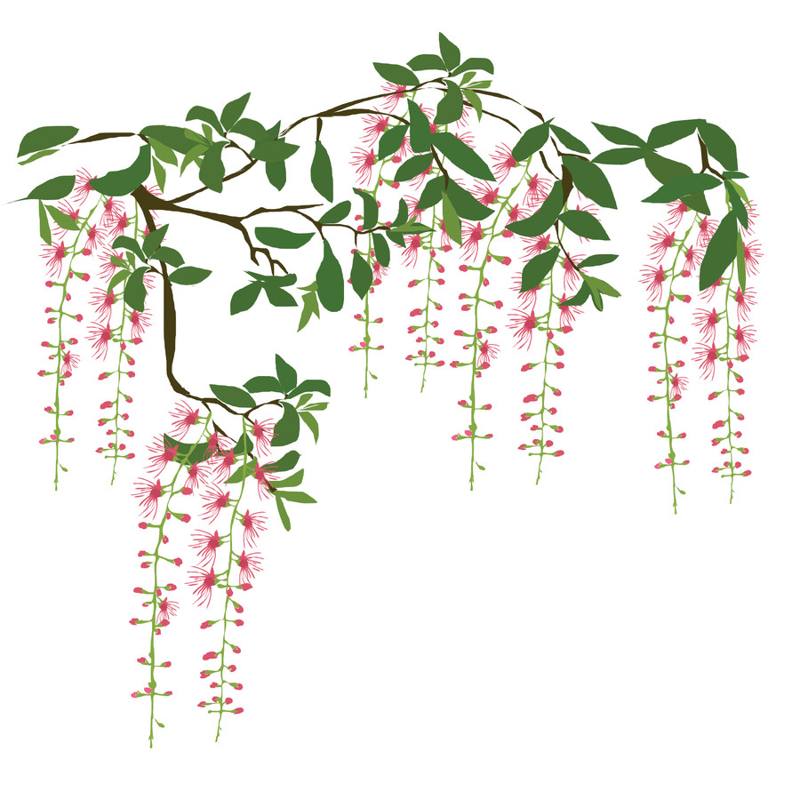 Minh họa: Huyền Trang