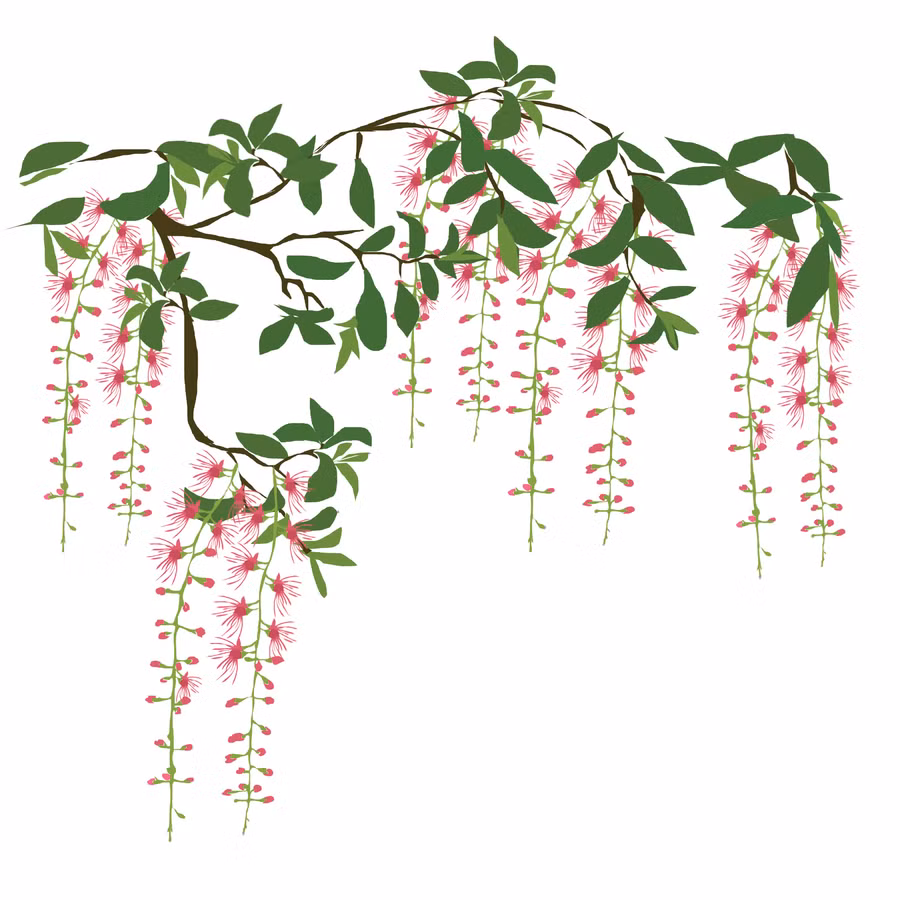 Minh họa: Huyền Trang