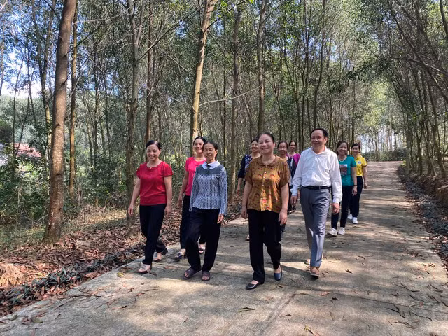 Các thành viên của Làng TNXP đi thăm rừng