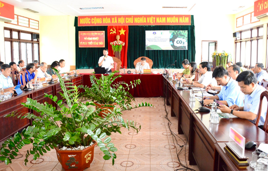 Quang cảnh Hội thảo “Bảo tồn và phục hồi rừng tại Gia Lai góp phần thúc đẩy kinh doanh tín chỉ carbon rừng tại Việt Nam”. Ảnh: Minh Nguyễn