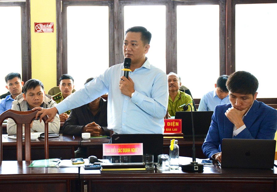 Tiến sĩ Đỗ Hữu Lương-Chủ tịch Hội đồng quản trị Công ty cổ phần B.A.T SMARTFOREST (TP. Pleiku) khẳng định tiềm năng, trữ lượng carbon rừng của Gia Lai là rất lớn sẽ mang lại nhiều nguồn thu cho tỉnh. Ảnh: Minh Nguyễn