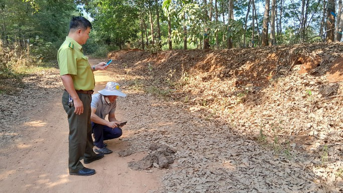 Lực lượng chức năng phát hiện phân voi