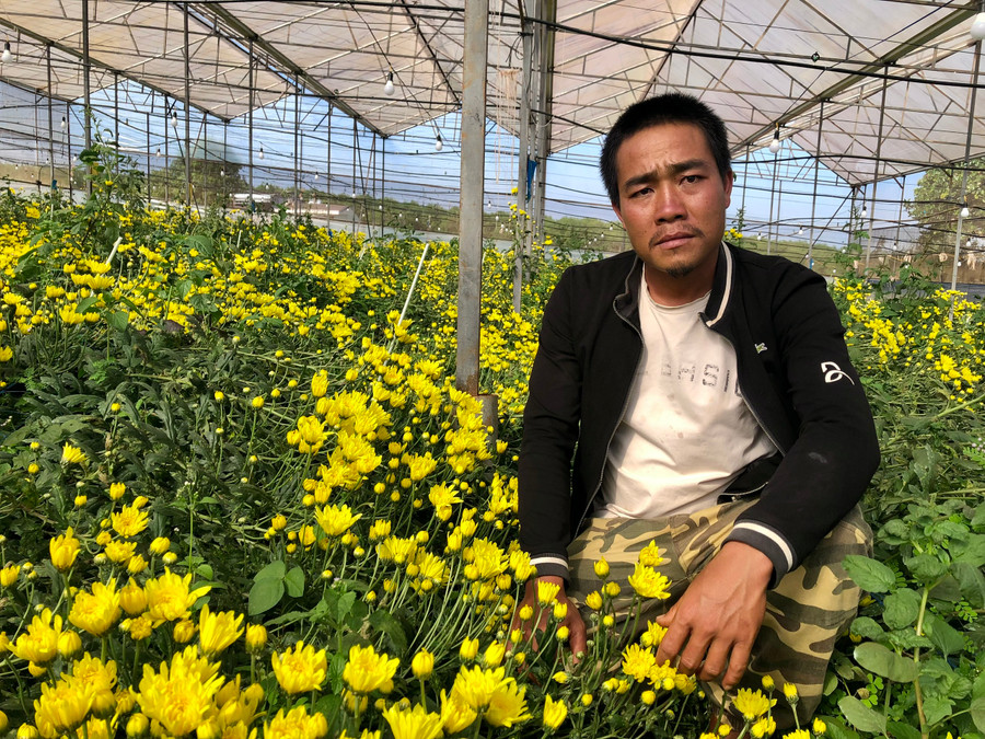 Ông Đinh Xuân Thành (thôn Krun, xã Hneng, huyện Đak Đoa) bên vườn hoa cúc. Ảnh: Lê Nam