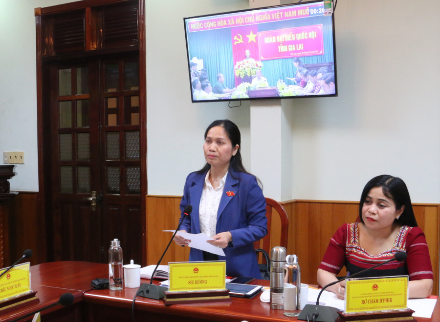 Đại biểu Siu Hương-Phó Trưởng đoàn chuyên trách Đoàn đại biểu Quốc hội tỉnh Gia Lai tham gia chất vấn. Ảnh: Quang Tấn Đại biểu Siu Hương-Phó Trưởng đoàn chuyên trách Đoàn đại biểu Quốc hội tỉnh Gia Lai tham gia chất vấn. Ảnh: Quang Tấn