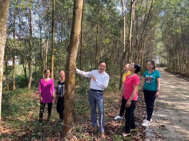 Ông Nguyễn Văn Tấn kể chuyện bảo vệ rừng trong cánh rừng của một hộ dân trong làng