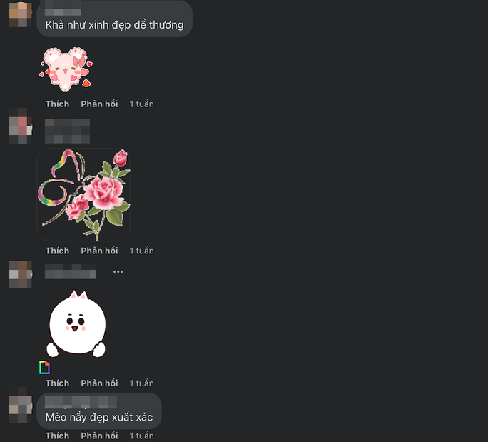 Cô nhận nhiều lời khen