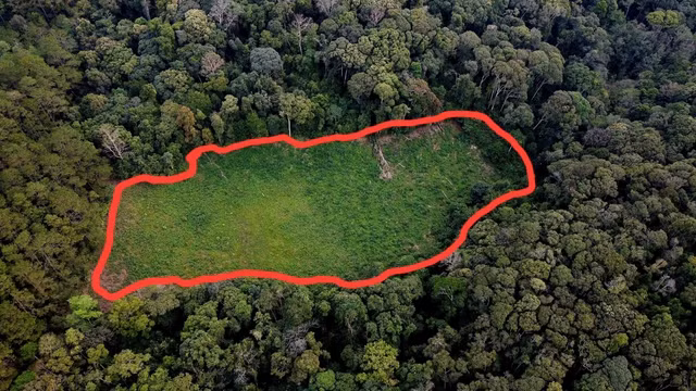 Lô đất trống nằm giữa khu rừng bị rao bán. Ảnh: A.V