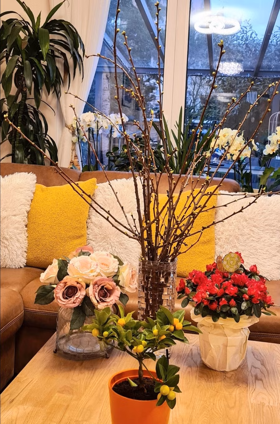 Nhành mận hiếm hoi tác giả mua được ở CHLB Đức