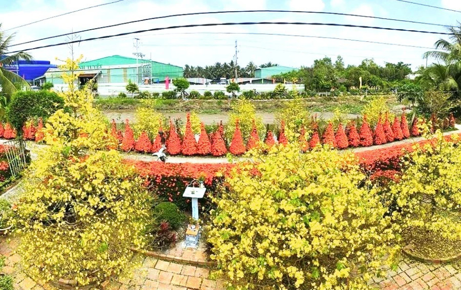 Toàn cảnh góc nhà của anh Phước Toàn cảnh góc nhà của anh Phước