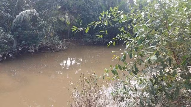 Khu vực sông Út phi tang các phần thi thể của bà D.