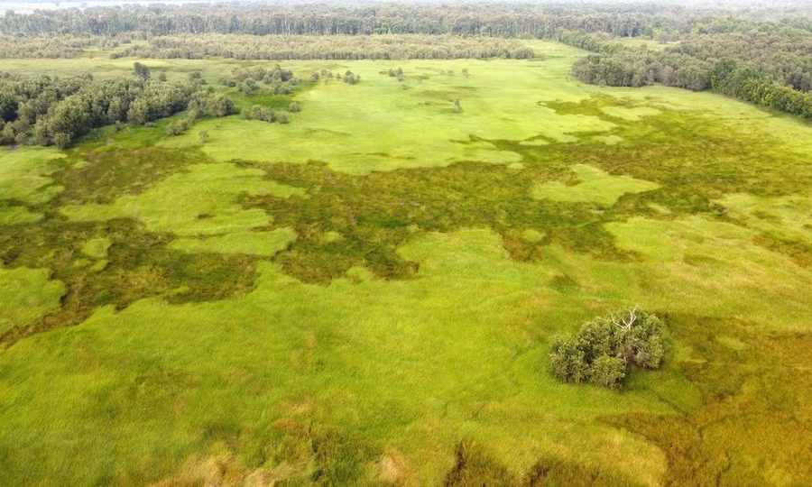 Ở Vườn quốc gia Tràm Chim. (Ảnh: Nhựt An/TTXVN)