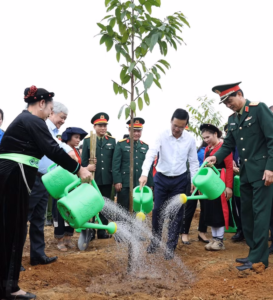 Chủ tịch nước Võ Văn Thưởng và các đại biểu tham gia trồng cây tại Lễ phát động Tết trồng cây “Đời đời nhớ ơn Bác Hồ” Xuân Giáp Thìn 2024. Ảnh: Thống Nhất/TTXVN