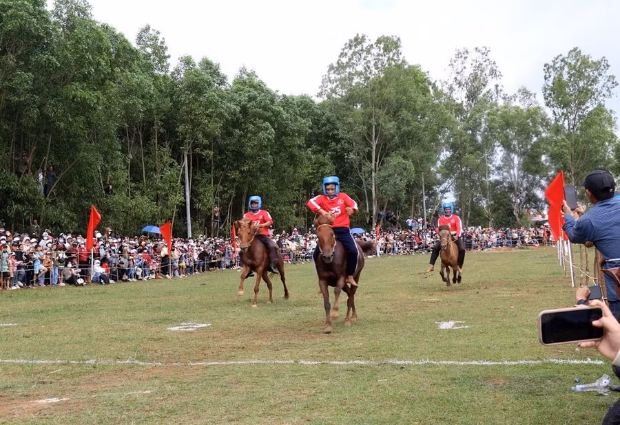 Đông đảo du khách dự hội đua ngựa Gò Thì Thùng, chứng kiến những lượt đua hấp dẫn. (Ảnh: Xuân Triệu/TTXVN) Đông đảo du khách dự hội đua ngựa Gò Thì Thùng, chứng kiến những lượt đua hấp dẫn. (Ảnh: Xuân Triệu/TTXVN)