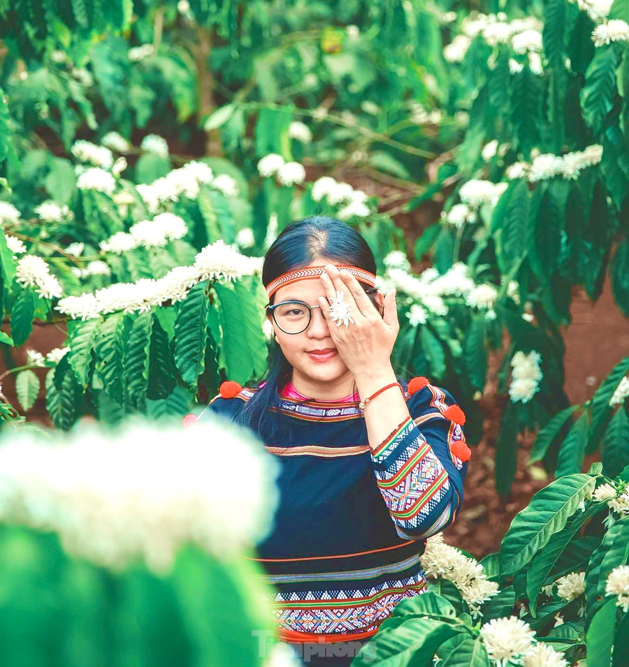 Cô gái mặc trang phục truyền thống của người Ê đê tạo dáng bên cây cà phê Cô gái mặc trang phục truyền thống của người Ê đê tạo dáng bên cây cà phê