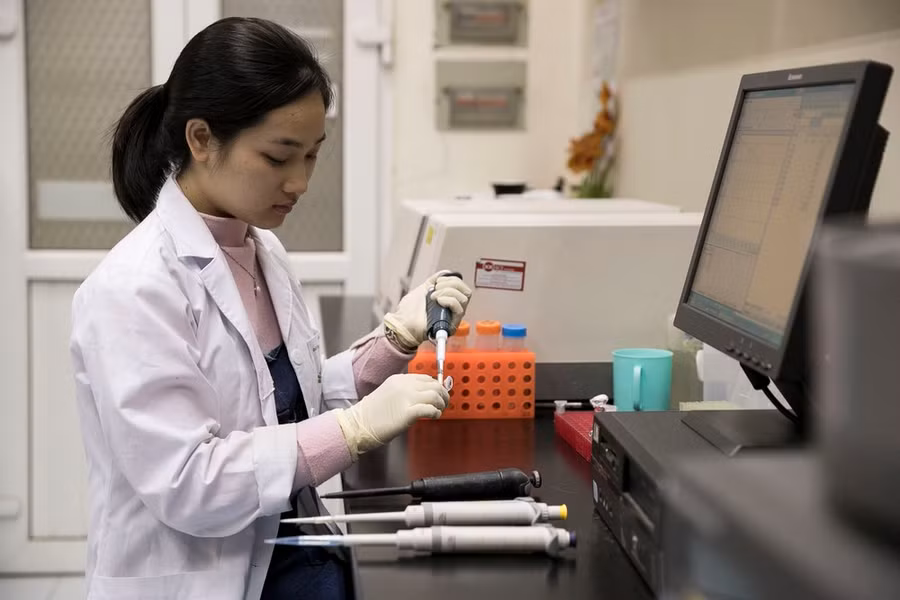 (Ảnh minh họa: PV/Vietnam+)