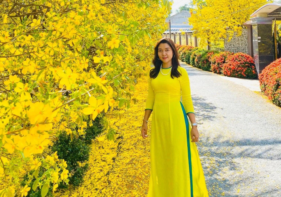 Bạn trẻ tha hồ chụp ảnh với cây mai nhà Quang Bạn trẻ tha hồ chụp ảnh với cây mai nhà Quang