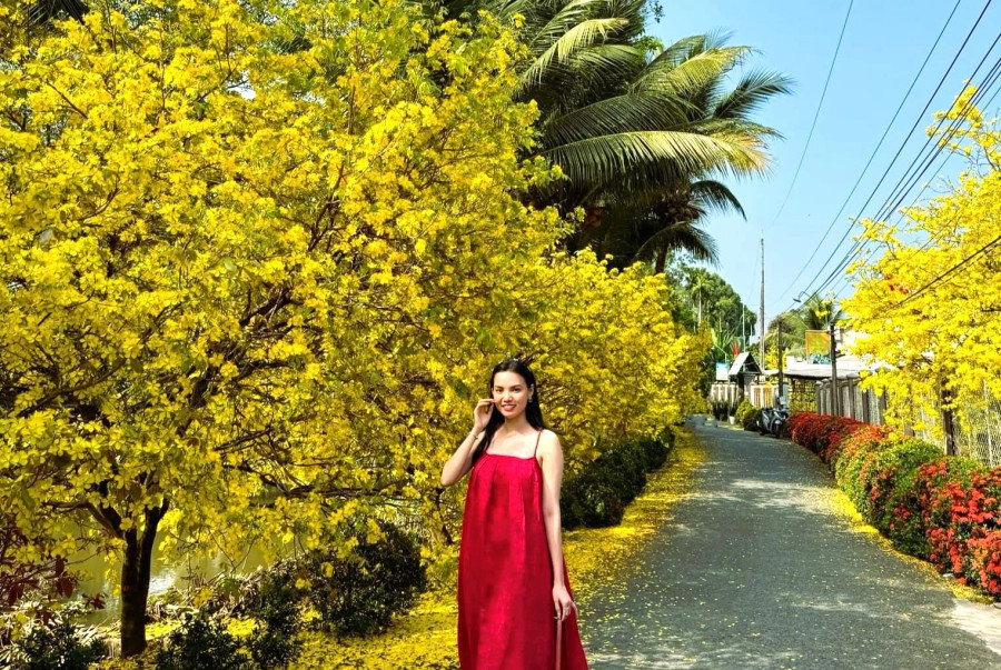 Bạn trẻ tạo dáng bên vườn mai nhà Quang Bạn trẻ tạo dáng bên vườn mai nhà Quang