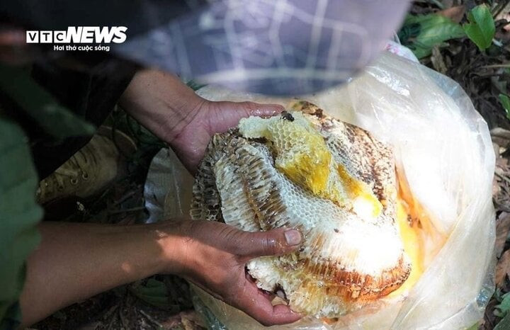 Thành quả của nhóm thợ "săn". Thành quả của nhóm thợ "săn".