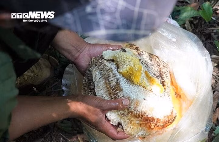 Thành quả của nhóm thợ "săn". Thành quả của nhóm thợ "săn".