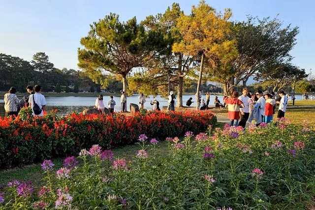 Các địa điểm nổi tiếng như công viên ven hồ Xuân Hương, quảng trường Lâm Viên, chợ đêm Đà Lạt là nơi du xuân yêu thích của du khách khi lên Đà Lạt.