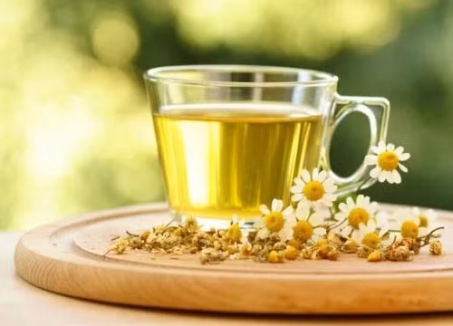 Trà hoa cúc nổi tiếng với khả năng hạ huyết áp
