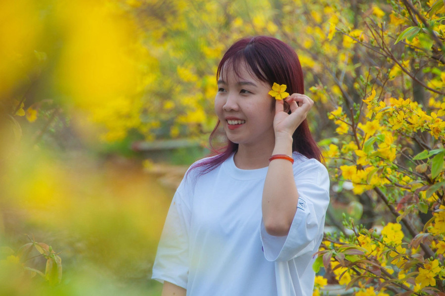 Tiến thích chụp ảnh về tết, những cây mai nở... Tiến thích chụp ảnh về tết, những cây mai nở...