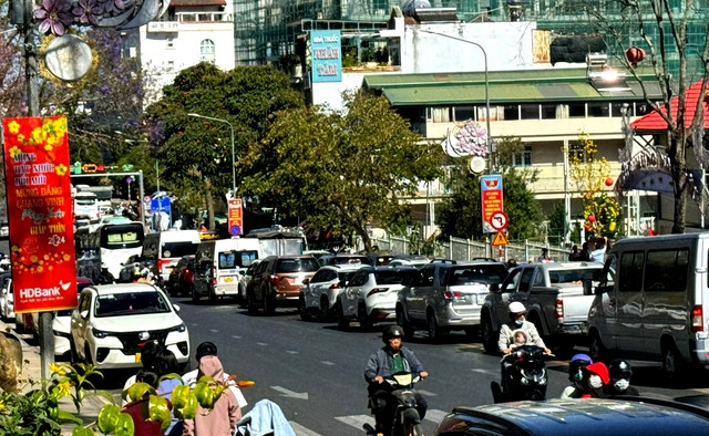 Đà Lạt đang vài cao điểm du lịch Tết Nguyên đán Giáp Thìn. Đà Lạt đang vài cao điểm du lịch Tết Nguyên đán Giáp Thìn.