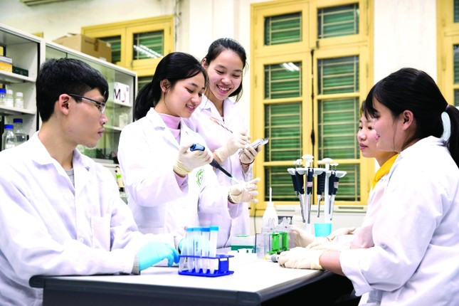 Các nhà khoa học Việt Nam nỗ lực vươn tầm thế giới Các nhà khoa học Việt Nam nỗ lực vươn tầm thế giới